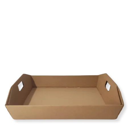 bandeja-de-carton-reciclado